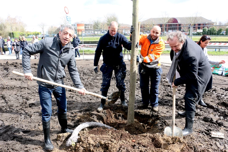 Nouvel espace vert à Anderlecht: 25 arbres pour nos 25 ans !
